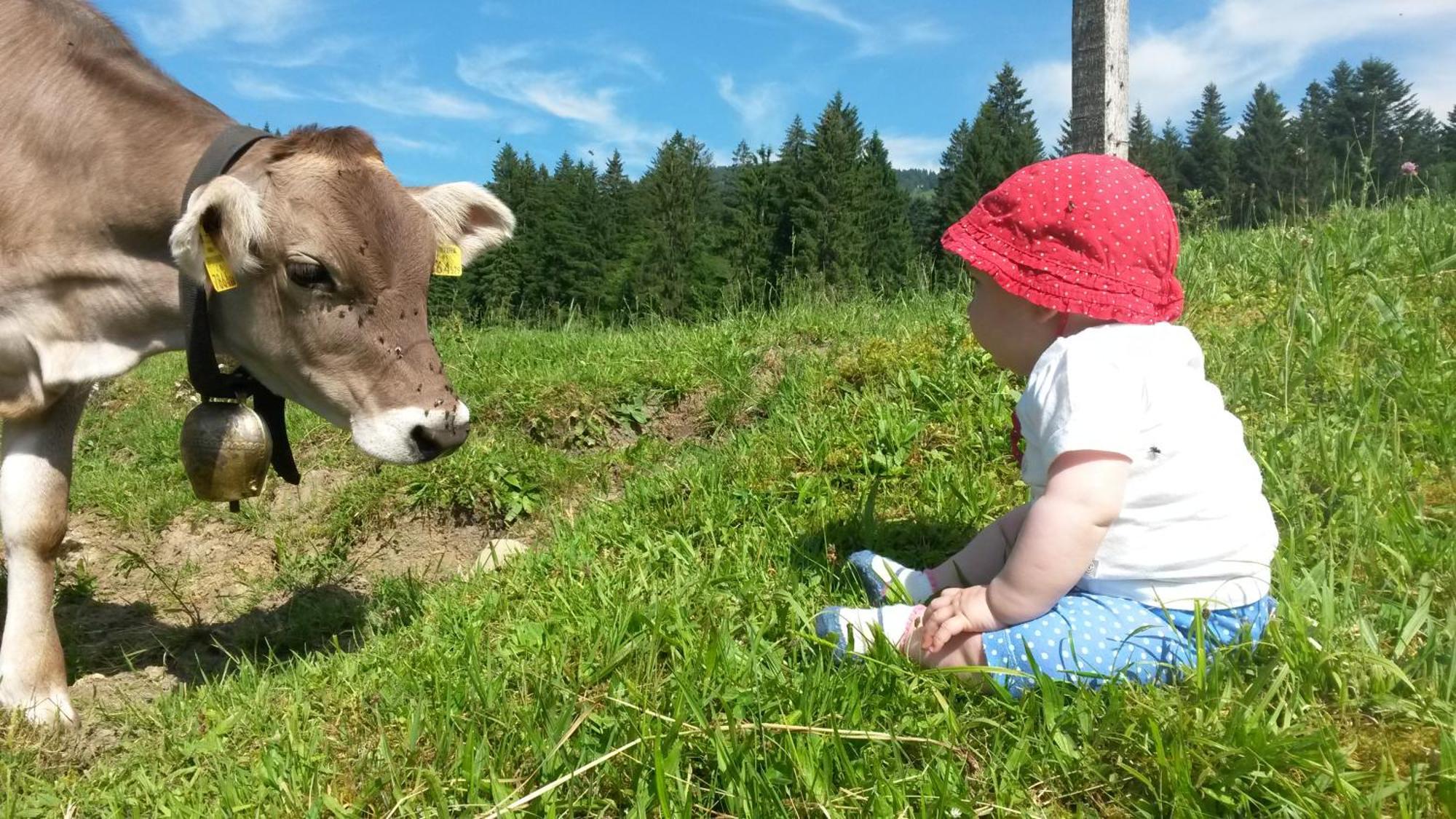 Ferienhof Duerlinde Hittisau Exteriér fotografie