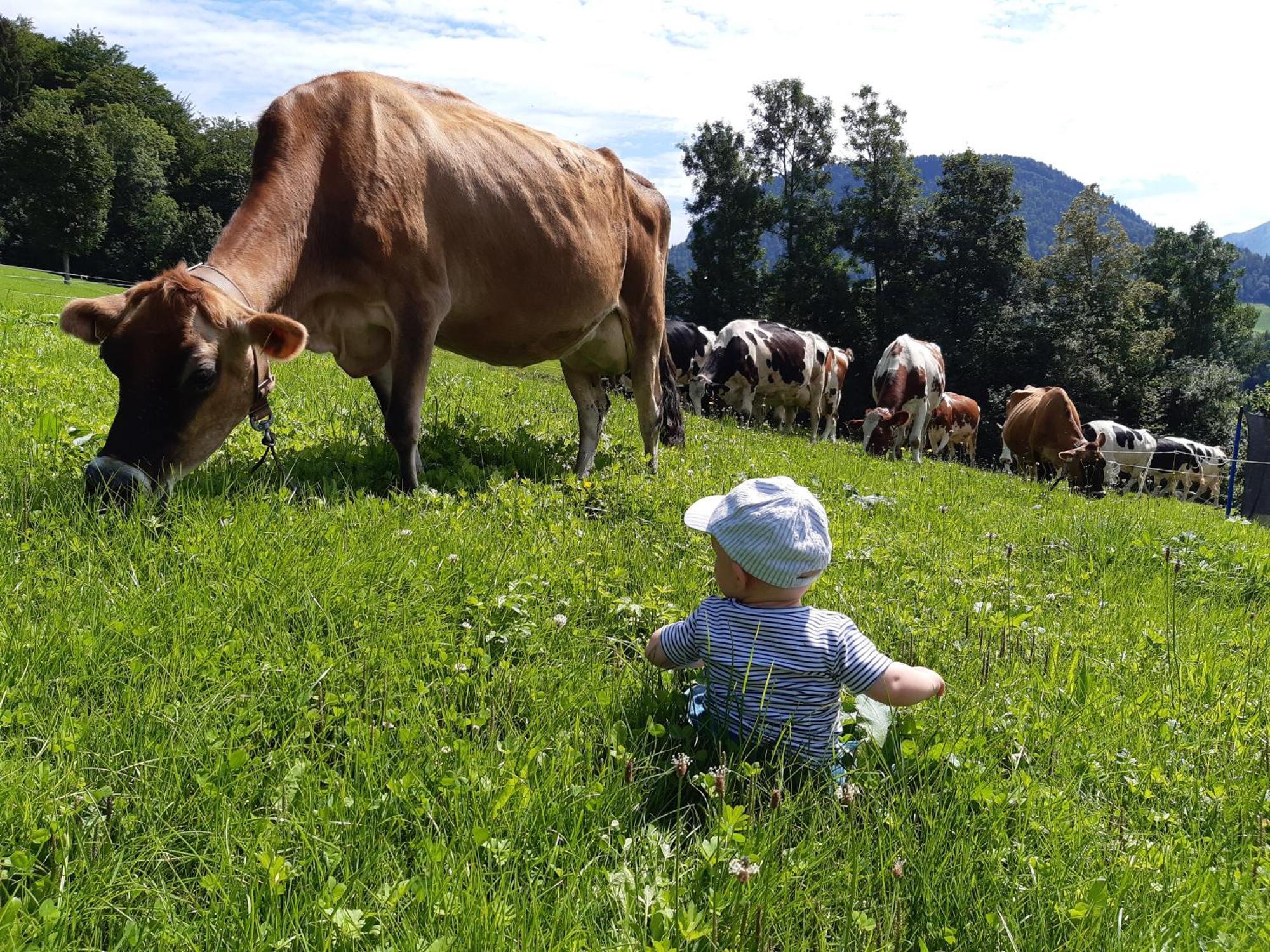 Ferienhof Duerlinde Hittisau Exteriér fotografie