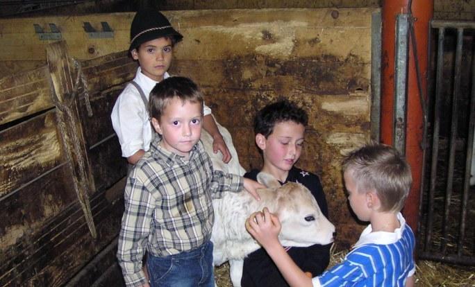 Ferienhof Duerlinde Hittisau Exteriér fotografie